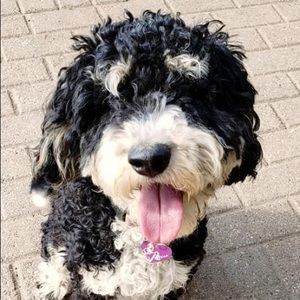 Meet your Posher, Mary